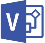 Microsoft Visio Professional 2021 (D87-07606)