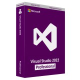 Microsoft Visual Studio 2022 Professional