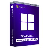 Microsoft Windows 11 Enterprise IoT LTSC 2024