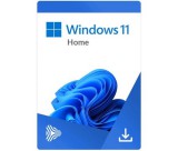 Microsoft Windows 11 Home DSP OEI DVD
