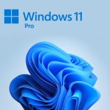 MICROSOFT Windows 11 Pro 64bit Magyar OEM FQC-10537