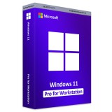 Microsoft Windows 11 Pro for Workstation