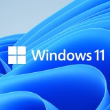 Microsoft Windows 11 Professional 64-bit ENG DSP OEI DVD (FQC-10528) (FQC-10528)