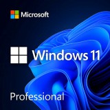 Microsoft windows 11 professional 64-bit mlg elektronikus licenc szoftver fqc-10572