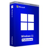 Microsoft Windows 11 Professional