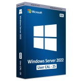 Microsoft Windows Server 2022 User CAL (25) [RDS]