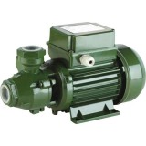 Micul QB60 Periférikus Kerti Vízszivattyú 370W 1/2" 50L/perc