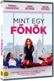 Mint egy főnök - DVD