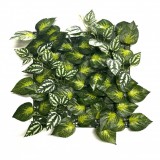 Mirpol Aureus műanyag zöldfal 33x33 cm