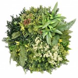 Mirpol Harmonia I. műanyag zöldfal 50x50 cm