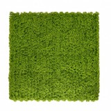 Mirpol Moha műanyag zöldfal 50x50 cm