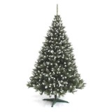 Mkerix Lucfenyő ezüstberkenyével – több méretben rendelhető