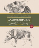 MMA Kiadó Nonprofit Kft. Sótonyi Péter (szerkesztő): Anatómiai rajzok vadon élő állatokról - Európa - könyv