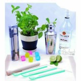 Mojito szett - Ingyenes szállítással