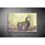 Mókus Vászonkép 067 áv-067