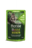 Monge BWild Grain Free Sterilised  nedves macskatáp - vaddisznó zöldségekkel 85 g