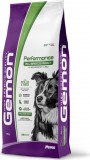 Monge Gemon Dog Adult - Performance - Csirke-rizs 20 kg