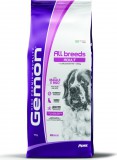 Monge Gemon Dog Adult Sertés-rizs 15 kg