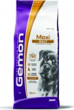 Monge Gemon Dog Maxi Adult Csirke-rizs 15 kg