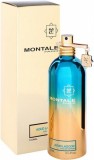 Montale Aoud Lagoon EDP 100ml Unisex Parfüm