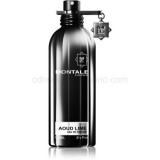 Montale Aoud Lime 100 ml eau de parfum unisex eau de parfum