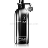 Montale Aromatic Lime 100 ml eau de parfum unisex eau de parfum