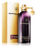 Montale Intense Cafe EDP 100ml Tester Unisex Parfüm