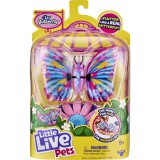 Moose Little Live Pets: Dreamshine pillangó