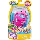 Moose Little Live Pets: Pippy Drops úszkáló kisteknős