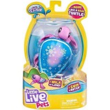 Moose Little Live Pets: Snowbreeze úszkáló kisteknős