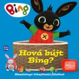 Móra könyvkiadó Kányádi Sándor: Hová bújt Bing? - könyv