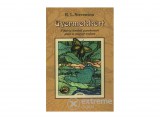 Móra könyvkiadó Robert Louis Stevenson - Gyermekkert - Viktória korabeli gyerekversek angol és magyar nyelven