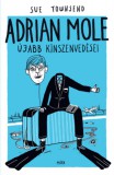 Móra könyvkiadó Sue Townsend: Adrian Mole újabb kínszenvedései - könyv