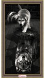 MOSFA Gyémántfestés szett, kutya vagy farkas, 30x60cm
