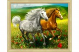 MOSFA Gyémántfestés szett, lovak a réten, 50x40cm