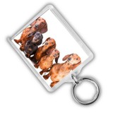 Műanyag tacskó kulcstartó