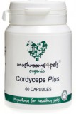 Mushrooms 4 Pets Cordyceps Plus az idős állatok egészségéért (500 mg) 60 db