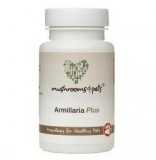 Mushrooms4pets Armillaria Plus (500 mg) 60 db