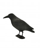 MUTA Galambriasztó varjú