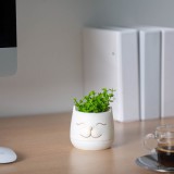 Művirág cicás kaspóban 3 féle változatban 9x14cm 11849