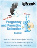 My Ebook Publishing House: Pregnancy and Parenting Collection Box Set - könyv