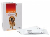 MSD Ex-Spot A.U.V. kullancs és bolha elleni csepp kutyáknak 1 db 1 ml ampulla nyitott dobozból