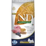 N&D Ancestral Grain N&D Dog Ancestral Grain bárány,tönköly,zab&áfonya adult mini 7kg