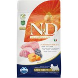 N&D Dog Grain Free bárány&áfonya sütőtökkel adult mini 2,5kg