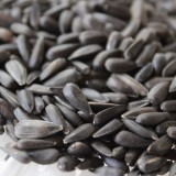 Napraforgó Fekete 10 kg - gazdaságos kiszerelés