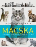 Napraforgó Horváth Kornélia: Legjobb barátunk, a macska - könyv