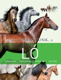 Napraforgó Kiadó Legjobb barátunk, a ló