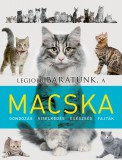 Napraforgó Kiadó Legjobb barátunk, a macska