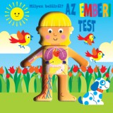 Napraforgó Kövendiweress Sándor: Milyen belülről - Az emberi test - könyv