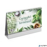 Naptár, asztali, álló, TOPTIMER, "Gyógyító természet"